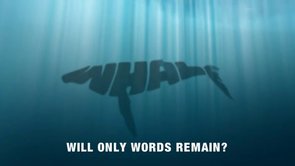 IFAW - Will only words remain?